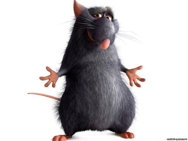 Евгений Амиров