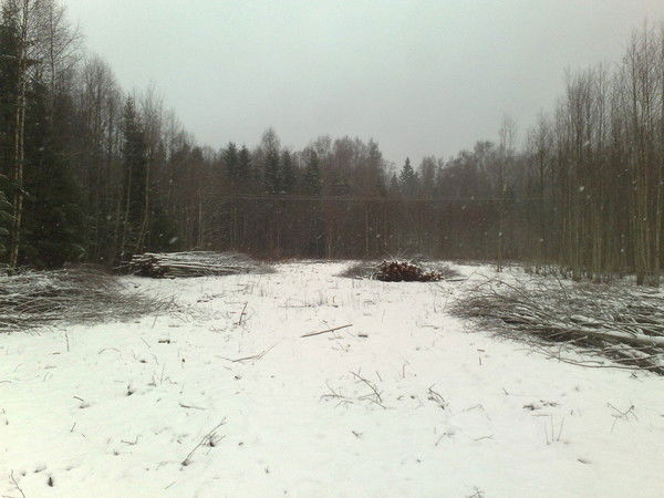 Андрей Ступников