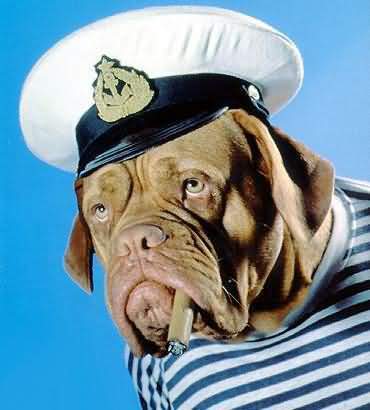 Сергей Чистов