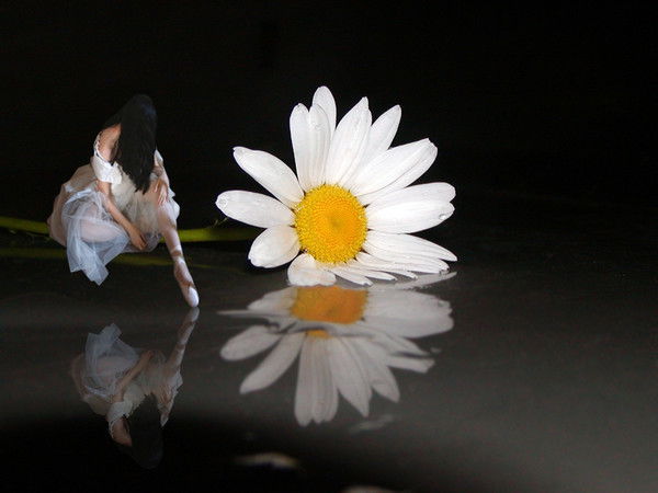 Елена Логинова