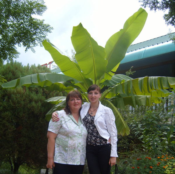 Елена Ночевная