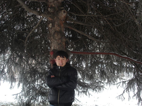 Арли Масанов