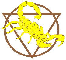 Тоо Стеклоцентр .