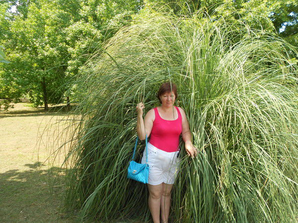 Татьяна Лобанова