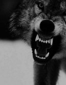 Турар-Мухаммад Гумарулы