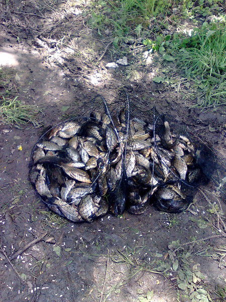 Василий Левчук