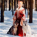 Queen Of Wolves