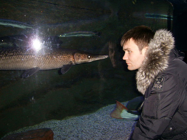 Сергей Шушканов