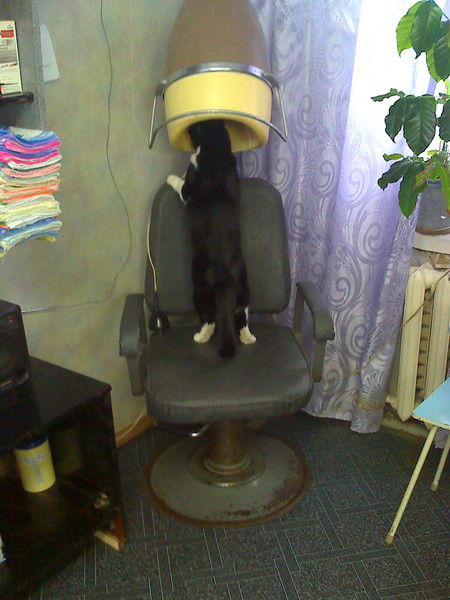 Ольга Матвиенко