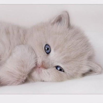 Анастасия Серебрякова