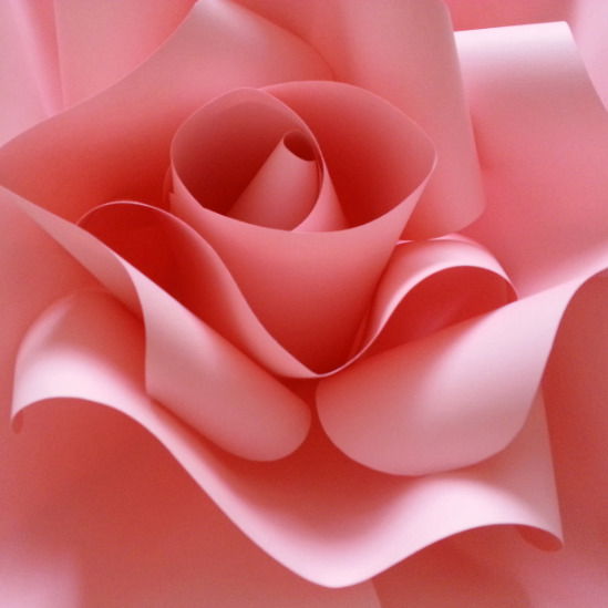 Аня Грибкова