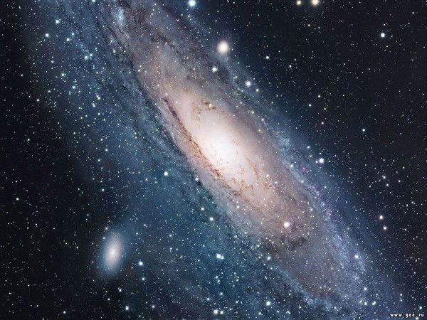 Алексей Ситников