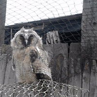 Сергей Муртазинов