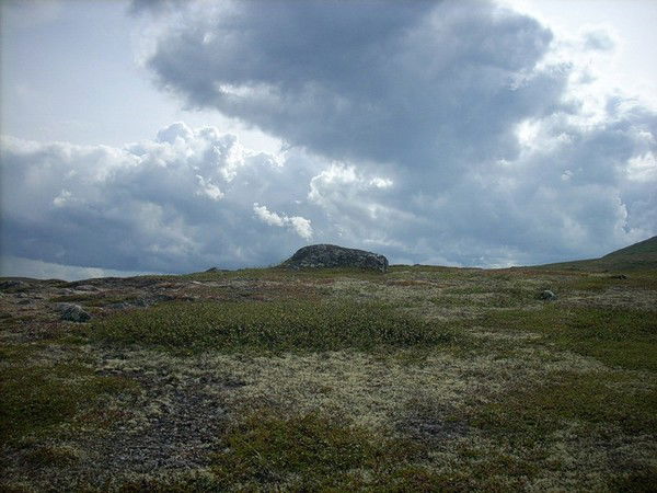 Геннадий Гайдукевич