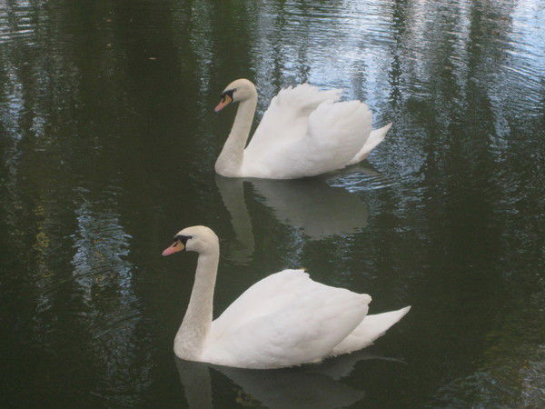 Евгения Юндина