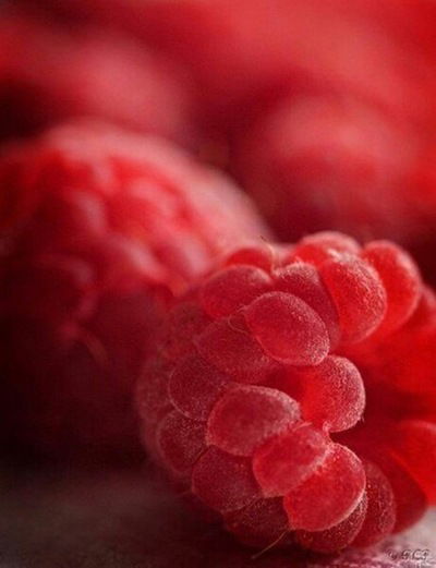 Алла Марченко