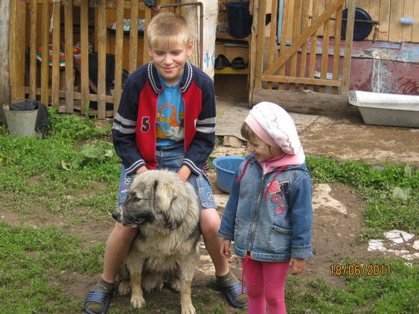 Виктор Мурашкин