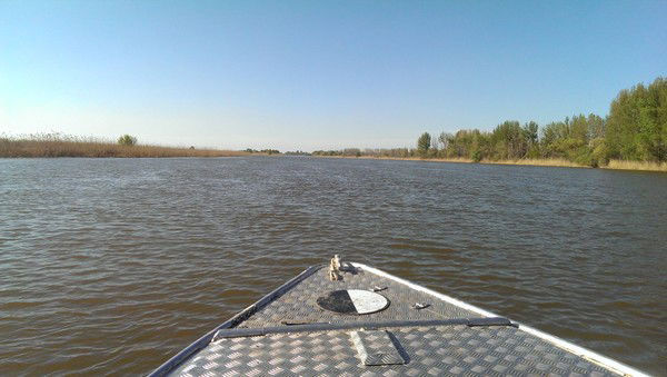 Дмитрий Бужинский