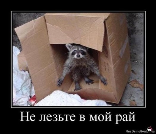 Злобный Троль Фокс