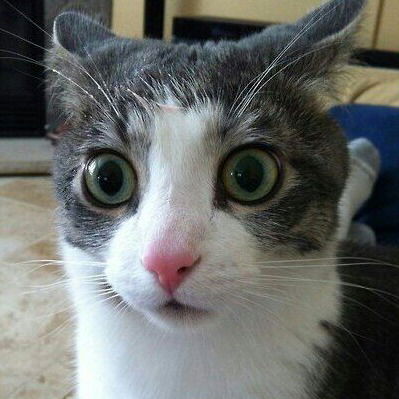 Олеся Юркова