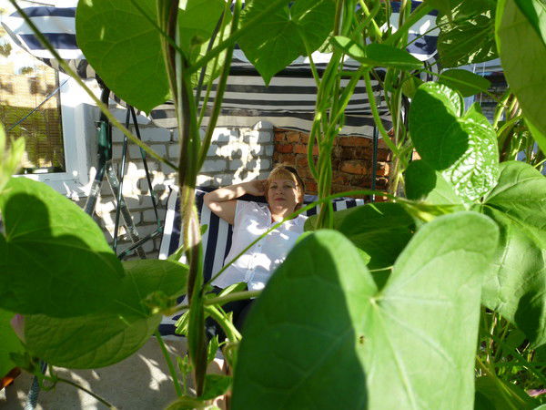 Елена Пальваль