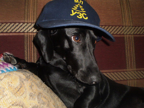 Антонида Пухарева