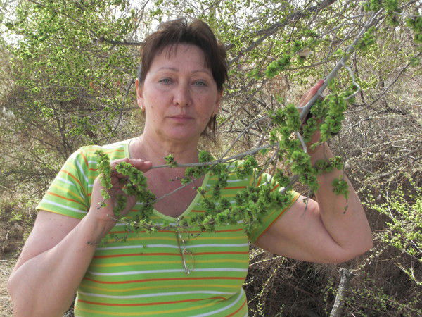 Людмила Степаненко