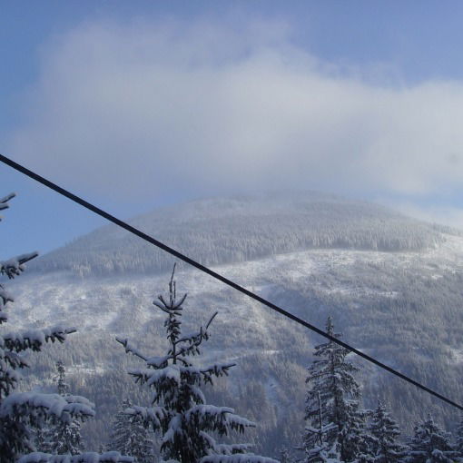 Анатолий Дав