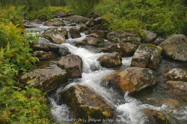 Татьяна Король