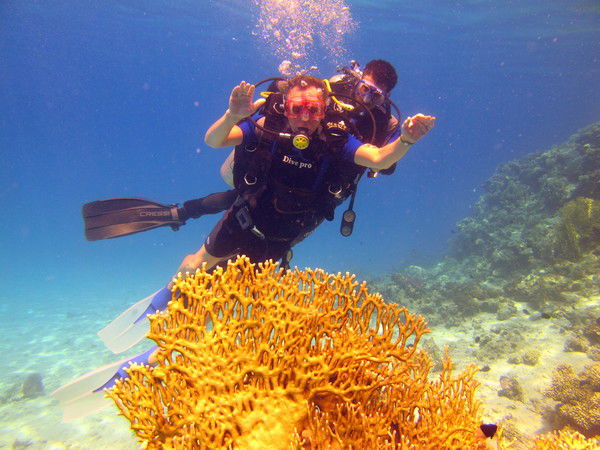 Сергей Алексеев