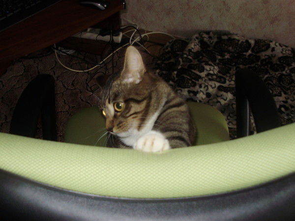 Вова Дудоров