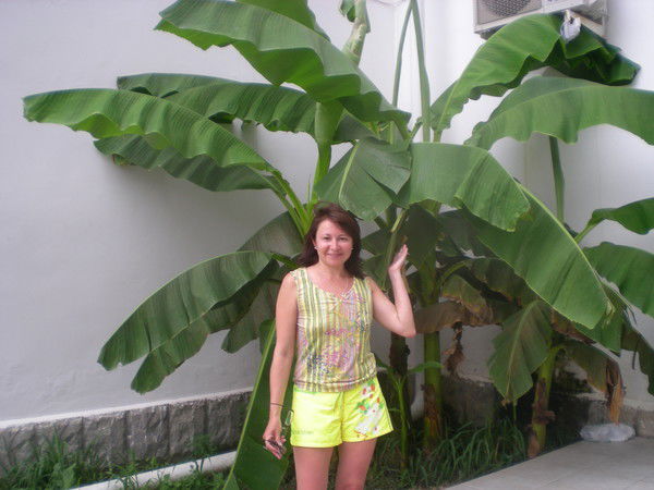 Наталья Суворова