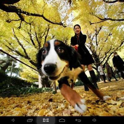 Дима Сергеев