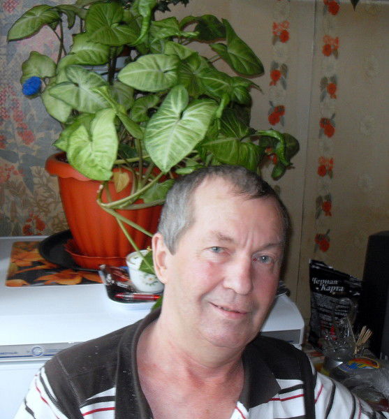 Александр Голубчиков