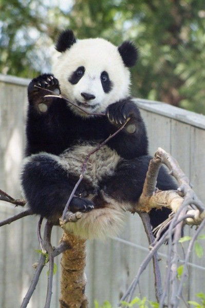 Берик Арипов