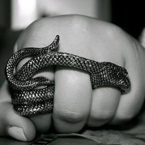 Нежданный Гость