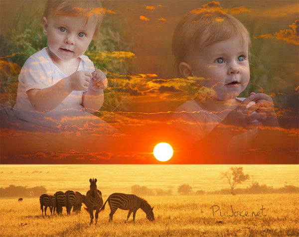 Юлия Ведшева