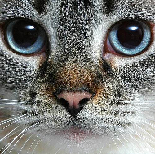 Наталья Оспищева