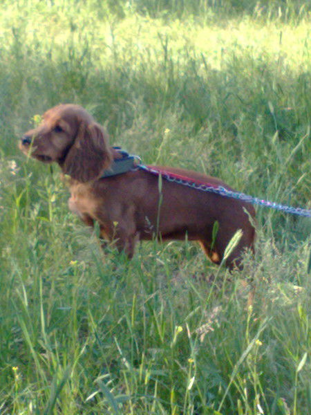 Илья "респект"