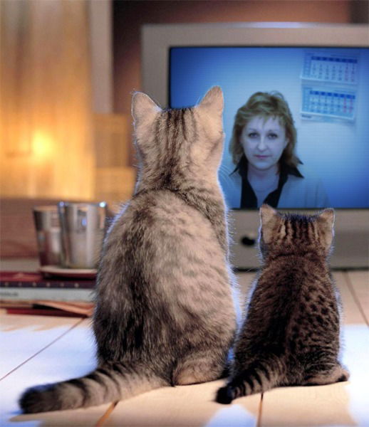 Оксана Бутенко