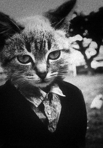 Владислав Кот