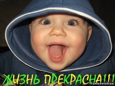 Виталий Амелин