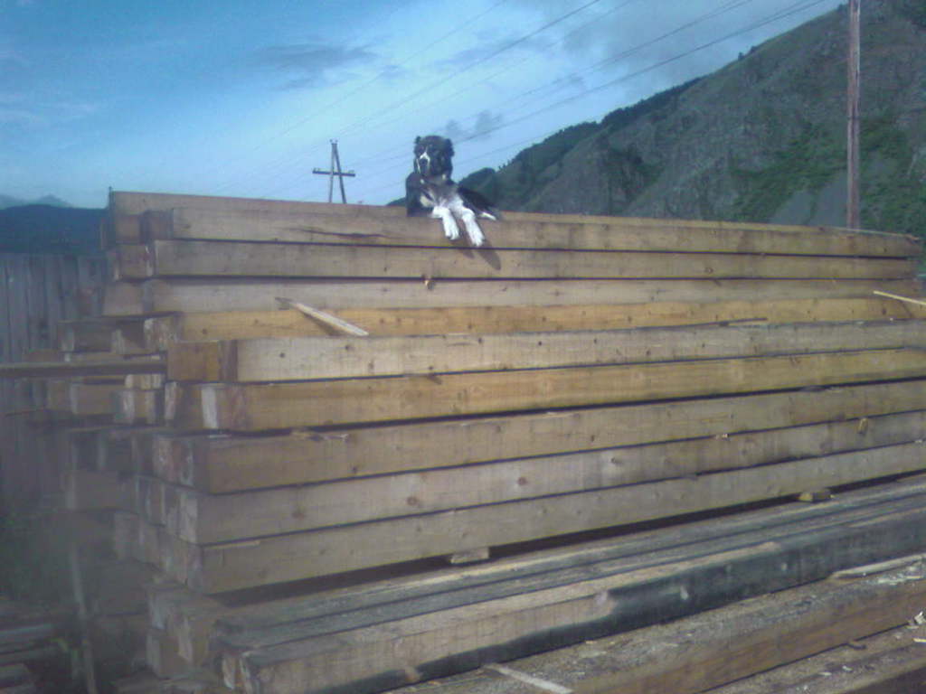 Александр Витов