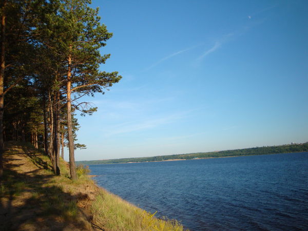 Алёна Владимировна