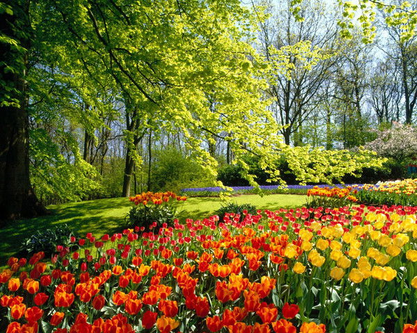 Уалихан Жайна