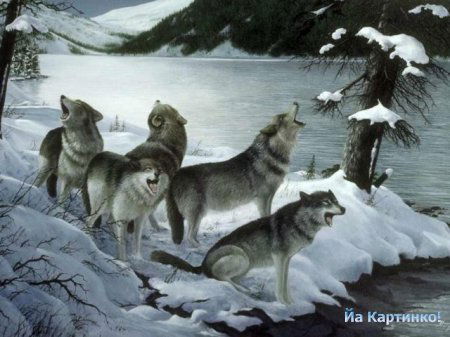 Катерина Кузя