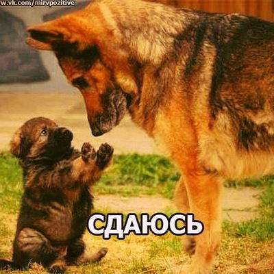 Оля Матасова