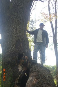 Антон Масличенко