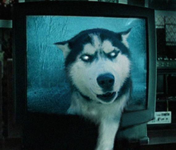 Игорь Клейнерман