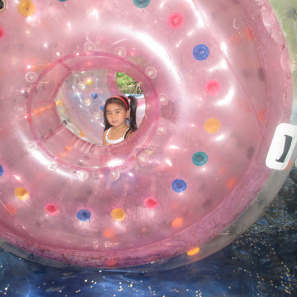 Муcина Дамегуль